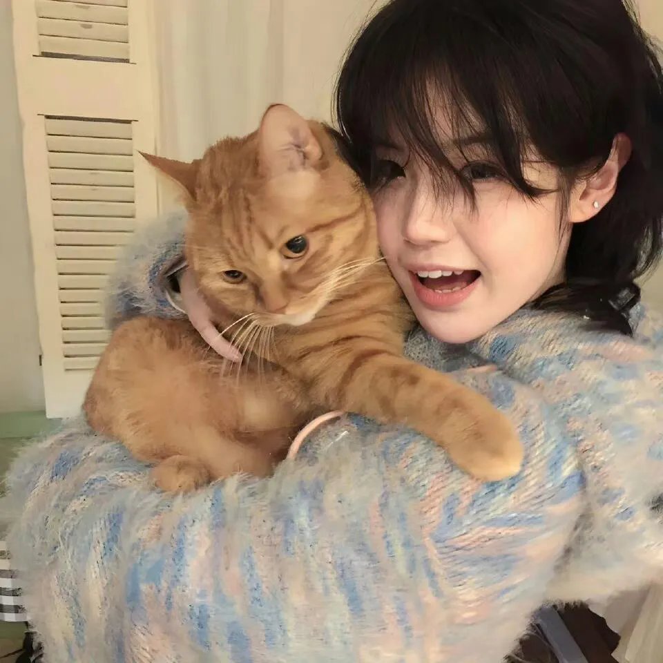 孤星泪